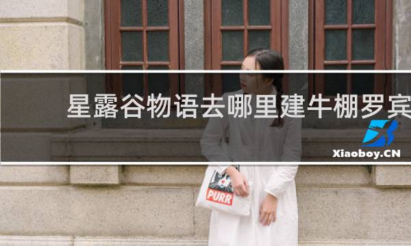 星露谷物语去哪里建牛棚罗宾