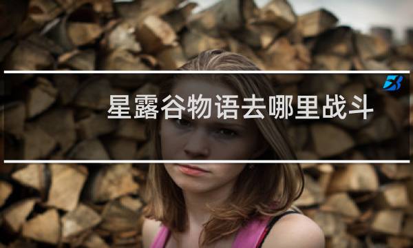 星露谷物语去哪里战斗