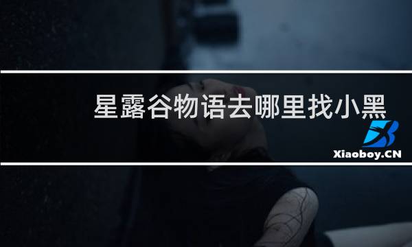 星露谷物语去哪里找小黑