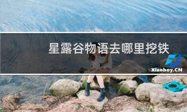 星露谷物语去哪里挖铁