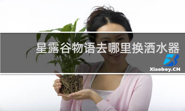 星露谷物语去哪里换洒水器