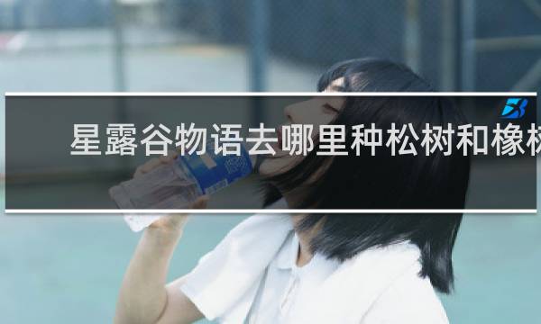 星露谷物语去哪里种松树和橡树