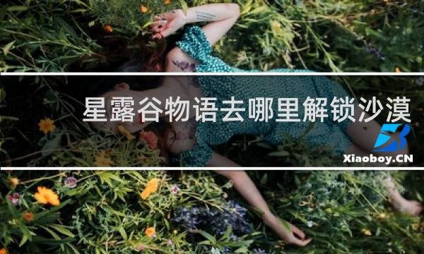 星露谷物语去哪里解锁沙漠