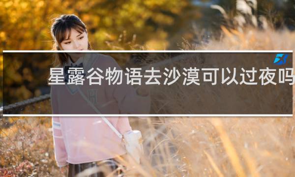 星露谷物语去沙漠可以过夜吗