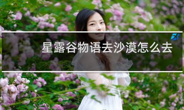 星露谷物语去沙漠怎么去
