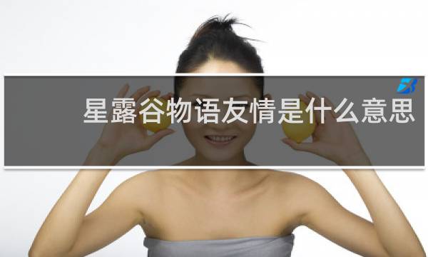 星露谷物语友情是什么意思