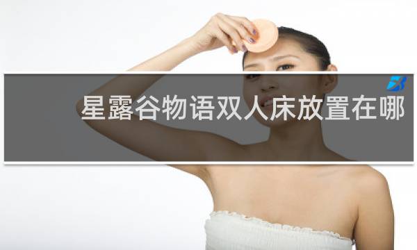星露谷物语双人床放置在哪