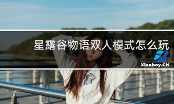星露谷物语双人模式怎么玩