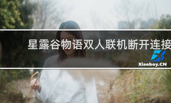 星露谷物语双人联机断开连接