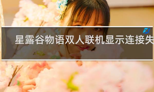 星露谷物语双人联机显示连接失败