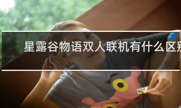 星露谷物语双人联机有什么区别