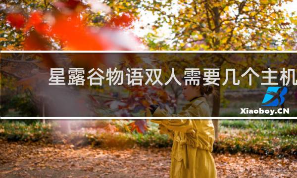 星露谷物语双人需要几个主机