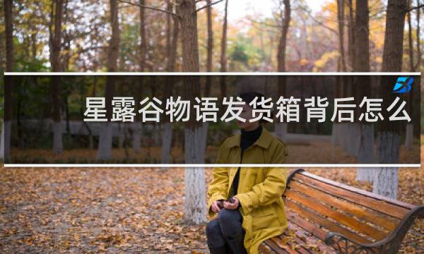 星露谷物语发货箱背后怎么