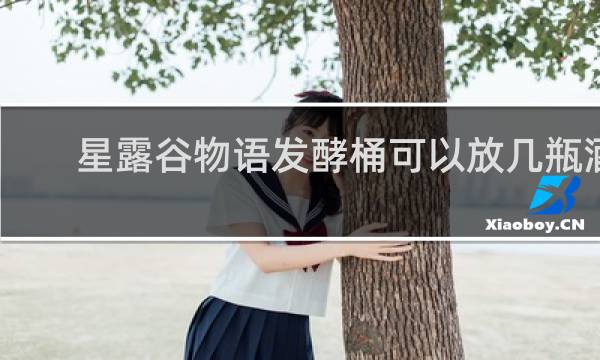 星露谷物语发酵桶可以放几瓶酒