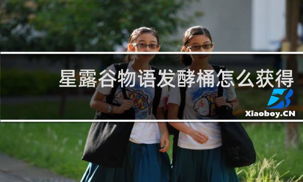 星露谷物语发酵桶怎么获得