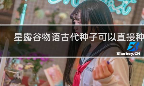 星露谷物语古代种子可以直接种吗