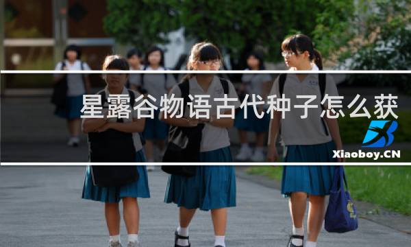 星露谷物语古代种子怎么获