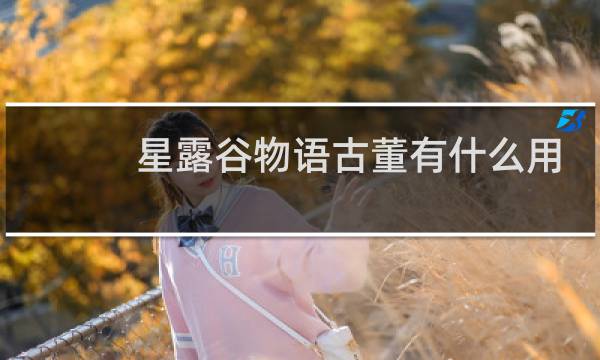 星露谷物语古董有什么用