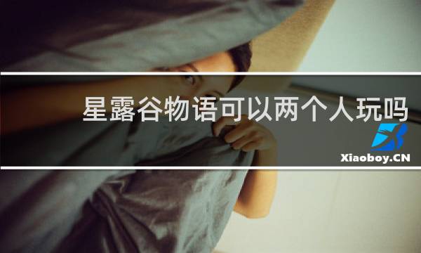 星露谷物语可以两个人玩吗