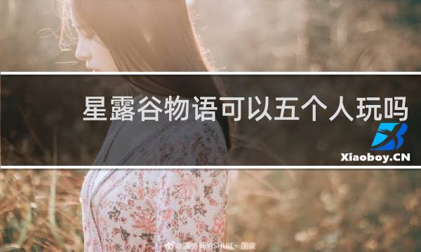 星露谷物语可以五个人玩吗
