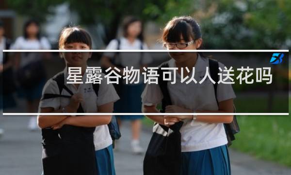 星露谷物语可以人送花吗