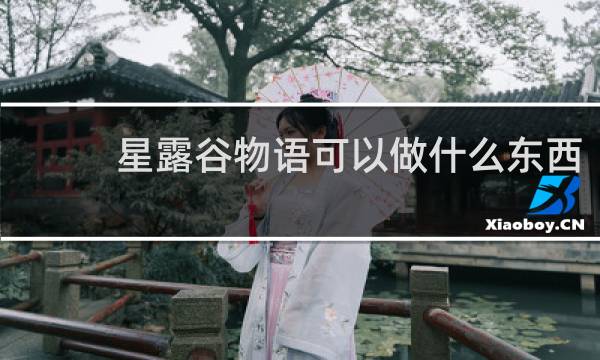 星露谷物语可以做什么东西