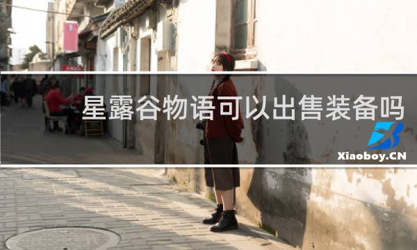 星露谷物语可以出售装备吗