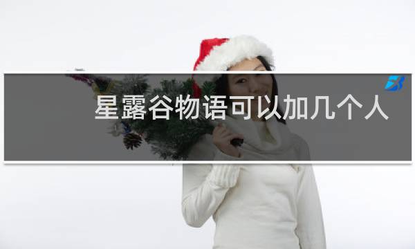 星露谷物语可以加几个人