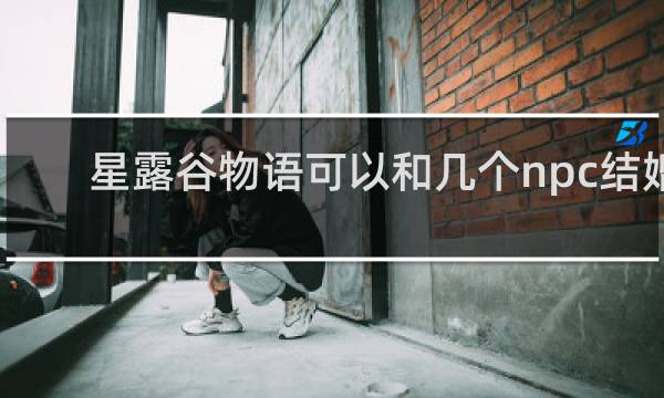 星露谷物语可以和几个npc结婚