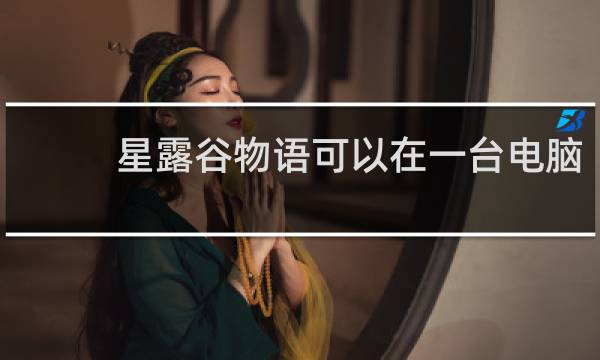 星露谷物语可以在一台电脑