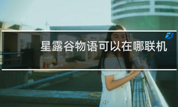 星露谷物语可以在哪联机