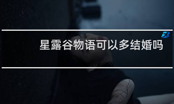 星露谷物语可以多结婚吗