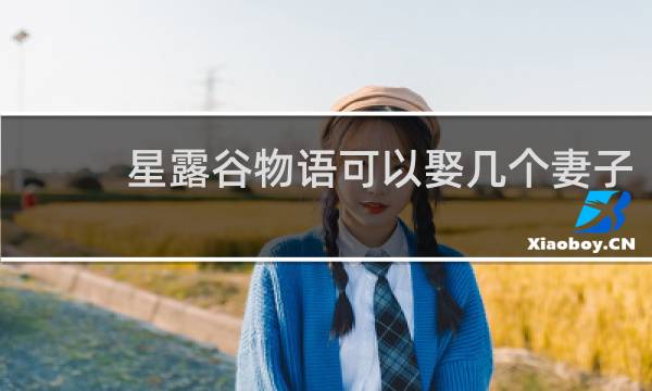 星露谷物语可以娶几个妻子