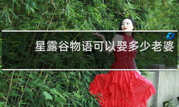 星露谷物语可以娶多少老婆