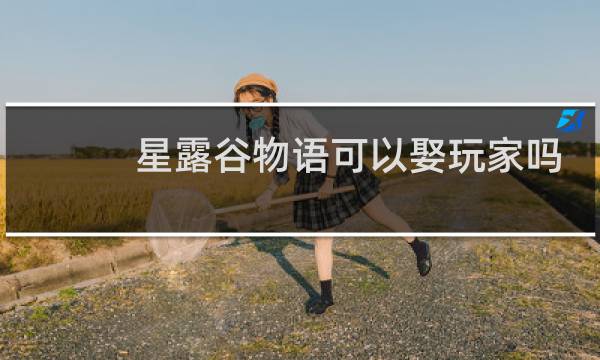 星露谷物语可以娶玩家吗
