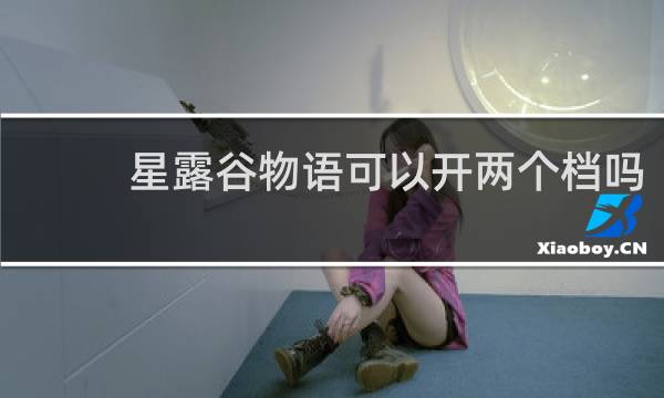 星露谷物语可以开两个档吗