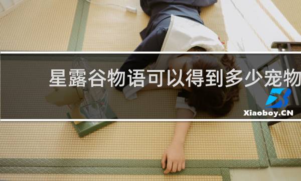 星露谷物语可以得到多少宠物