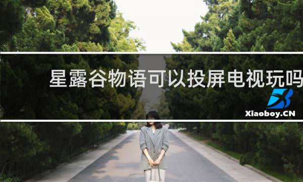 星露谷物语可以投屏电视玩吗