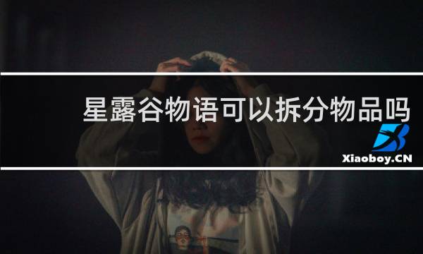 星露谷物语可以拆分物品吗