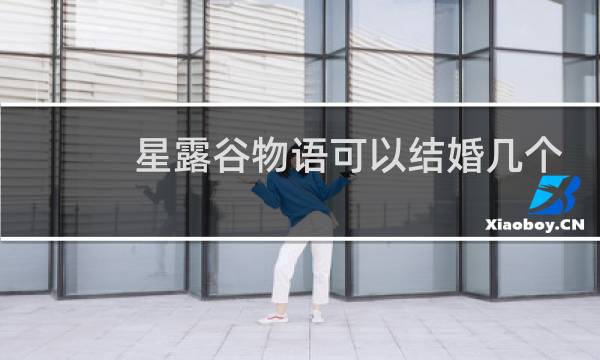 星露谷物语可以结婚几个
