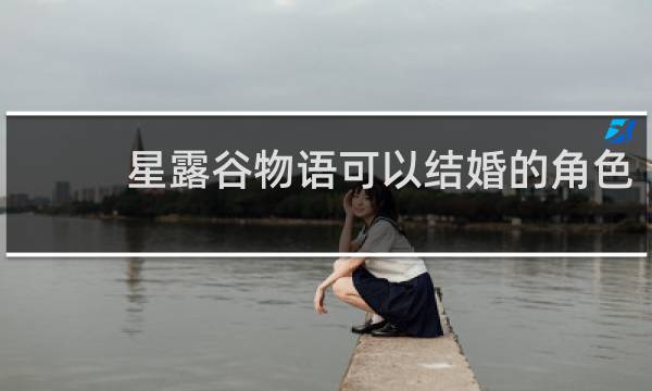 星露谷物语可以结婚的角色