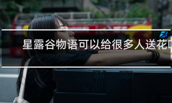 星露谷物语可以给很多人送花吗