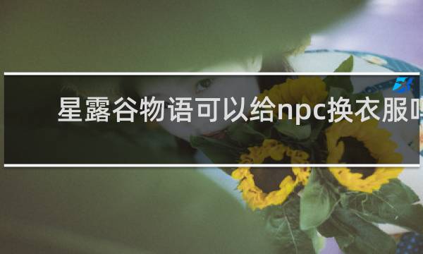 星露谷物语可以给npc换衣服吗