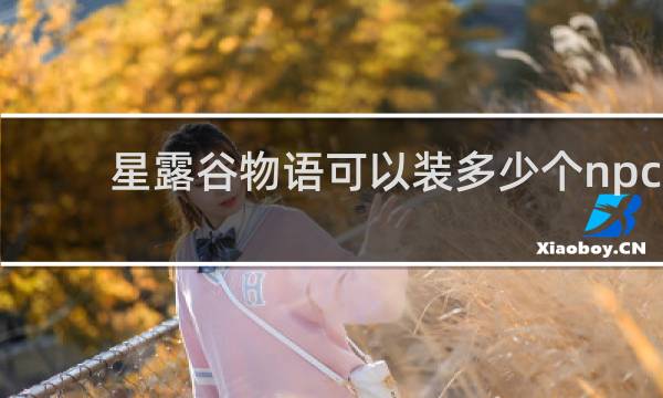 星露谷物语可以装多少个npc
