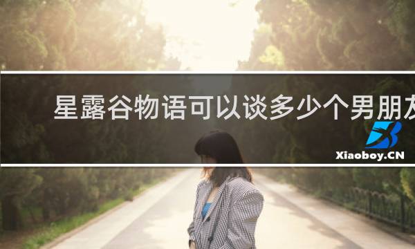 星露谷物语可以谈多少个男朋友