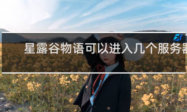 星露谷物语可以进入几个服务器