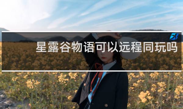 星露谷物语可以远程同玩吗