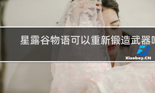 星露谷物语可以重新锻造武器吗