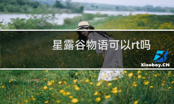 星露谷物语可以rt吗