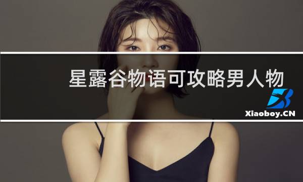 星露谷物语可攻略男人物